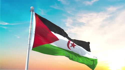 3D Western Sahara Flag Waving Realistic Loop