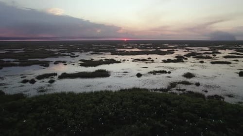 Everglades Wetland Slough Marsh Sawgrass Sunset Rookery Aerial 2