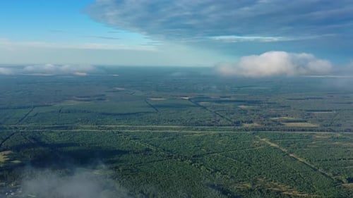 Wolken über dem Sommerwald