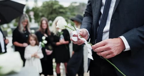 Flower, funeral and hands of man by graveyard for remembrance, mourning or grief at service