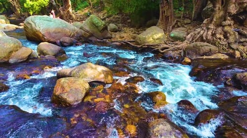 River Flows In The Forest During The Summer Season