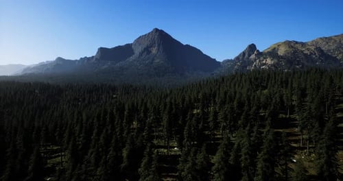 Mountain Range Rises Above Dense Forest Under Clear Blue Sky