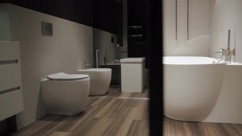 Modern, Minimalist Bathroom Design with White Fixtures