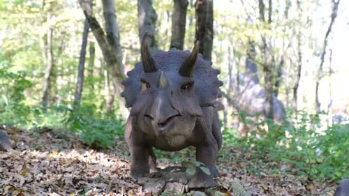 Raubdinosaurier Ein Modell eines gehörnten Dinosauriers, der mitten im Wald jagt
