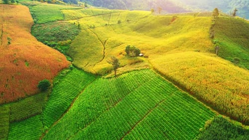Aerial View of Mountain Farmland Terraces