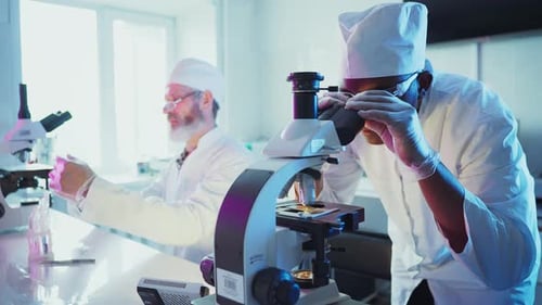 Scientists Working in Modern Laboratory Analyzing Samples