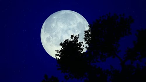 Full Moon Rising Over Serene Natural Landscapes Animation