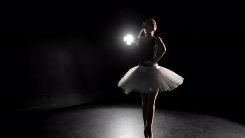 Attractive Slender Ballet Dancer Woman Performing Steps and Movements on Stage Slow Motion