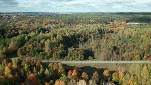 AERIAL: Colorful autumn forest in a mountainous area near rail road