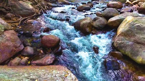 Ruisseau qui descend
