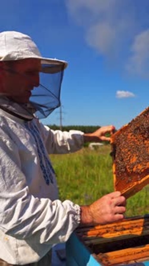 Farmer working on apiary. Beekeeper looking after bees on village background.