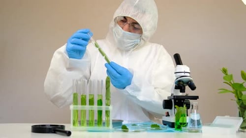 Scientist Working in a Lab with Microscope