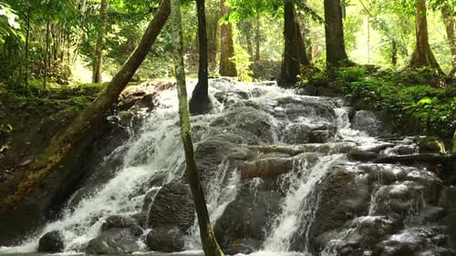 Ruhige Waldkaskade inmitten üppiger Grünanlagen, Natur, Ruhe und Ökotourismus