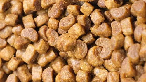 Pile of Small Crunchy Kibble for Animals