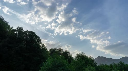 Clouds Over Trees Timelapse
