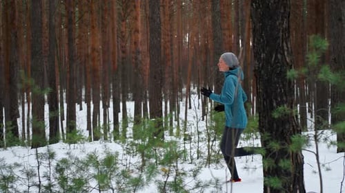 Woman Jogging in Forest