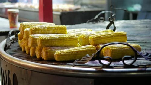 Boiled corn at the counter street market night fast food area