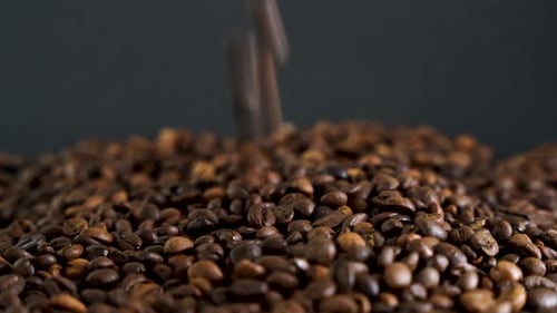 Roasted Coffee Beans Being Poured onto Pile