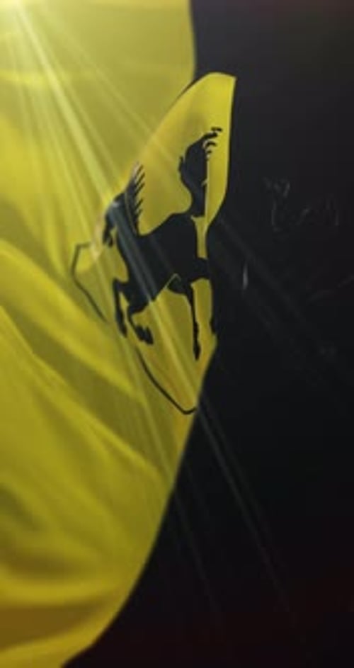 Waving Pegasus Flag in Vertical Format with Sun Rays