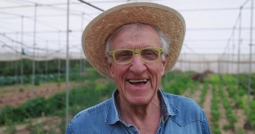 Senior Man Smiling On Camera Inside Farm Greenhouse - Local Food Product And Sustainable Work