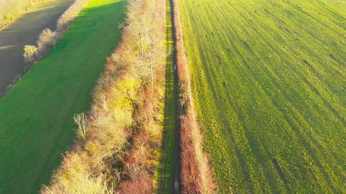 vuelo a lo largo de una ruta de senderismo en los campos en un día soleado