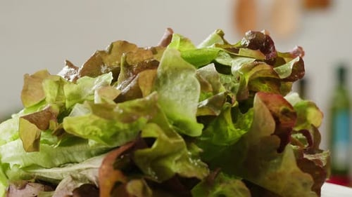 Fresh Salad Green Lettuce Leaves on White Background Close Up Macro Vegan Food