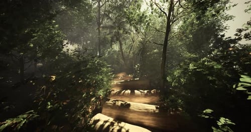 Tranquil Wooded Path Surrounded By Lush Greenery in the Forest