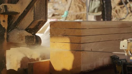 Saw Cutting Lumber at Sawmill