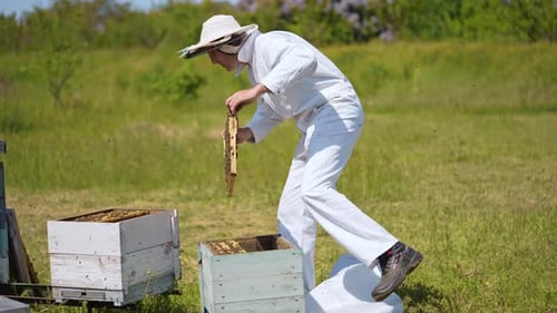 Beekeeper Checking Honeycomb in Rural Setting