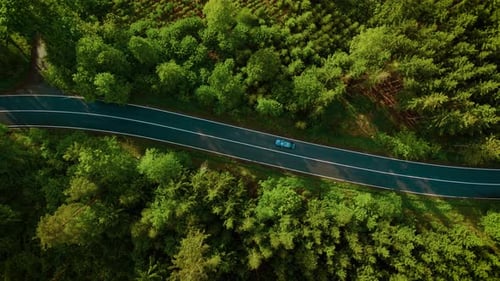 Top Down View of Cars Driving Along Road Among Coniferous Forest Drone Following EV Car Driving on