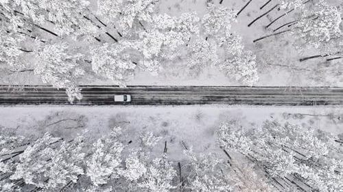 Flying above frozen forest and asphalt road in winter, Poland.