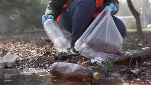 Person Cleaning Up Litter in Park