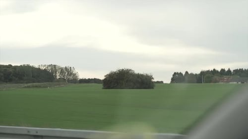 Green Meadows with Trees All Around As Seen From a Moving Car