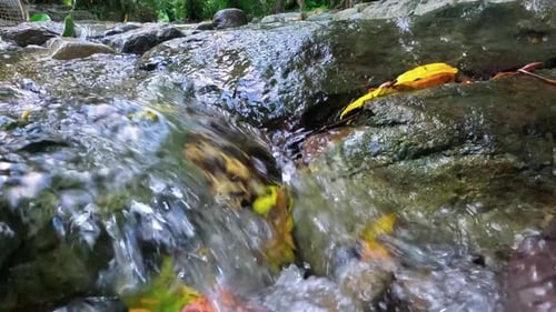 Clear green river in the forest. Humaira Bathing Pool. Vacation, travel, holiday, honeymoon concept.