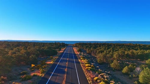Flight over the highway with no cars crossing the natural landscape covered with greenery.