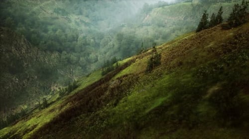 Misty Green Mountain Valley Landscape Flyover