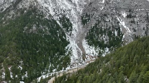 Snowy Mountains and Evergreen Trees Aerial View