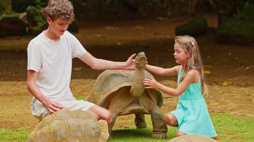 Children Pet the Head of a Rare Giant Turtle on the Tropical Island of Mauritius