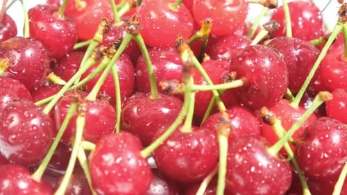 Close-Up of Fresh Red Cherries with Stems