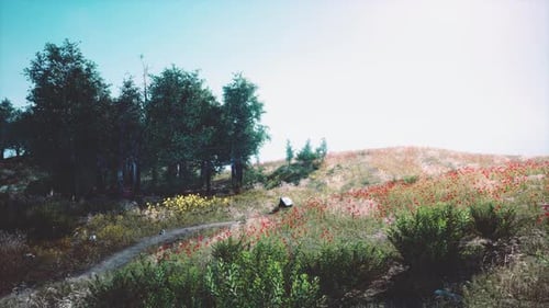 Beautiful Panoramic Landscape of the Mountain Valley