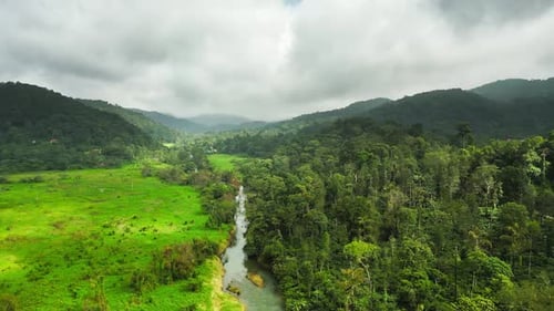 Hermosas colinas verdes de Kerala, India 4 km