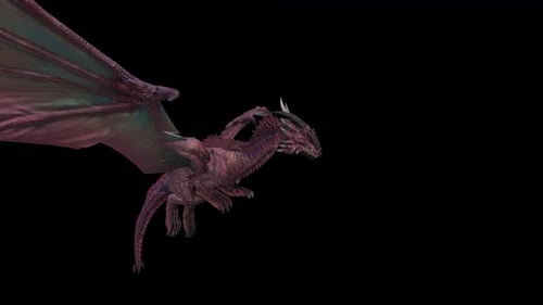 Dragon : 3D