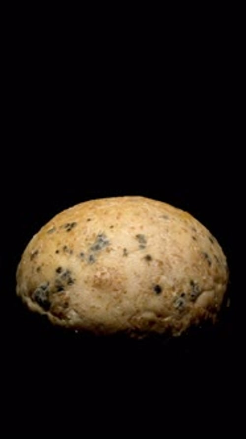 Macro time-lapse of fungal growth on bread, concept of expired food and food waste.