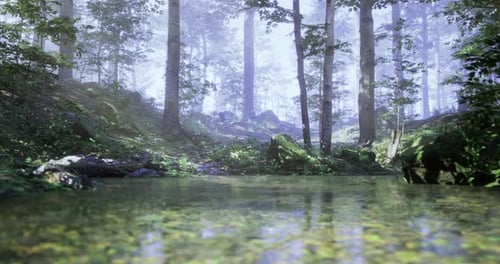 Serene Forest Landscape with Tranquil Water Reflection Near Trees