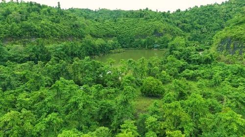 Aerial View of a Dense Green Forest Surrounding a Calm Murky Lake with Hills and Lush Vegetation