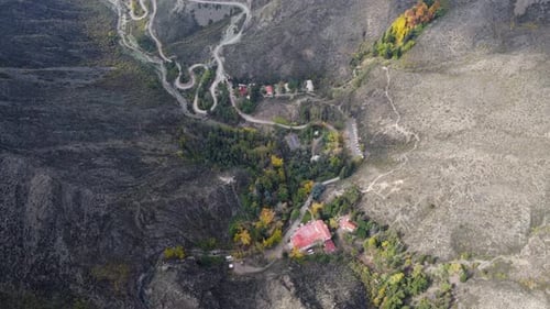Aerial view of autumn trees in twisted mountain pass road, Argentina