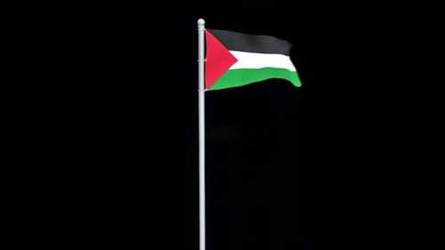 Palestine National Flag Waving on Pole 3D Animation