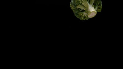 Fresh delicious green broccoli falling isolated on black background, slow motion