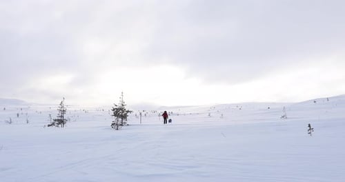 Ski expedition in Pallas Yllastunturi National Park , Lapland, Finland