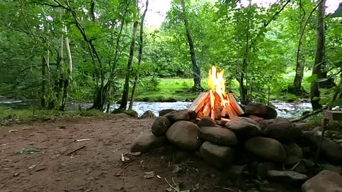 Un feu crépite au bord d'une rivière tumultueuse dans une forêt sauvage